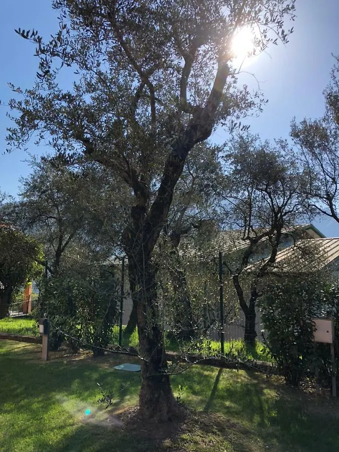 Villa Dei Sogni Bellagio